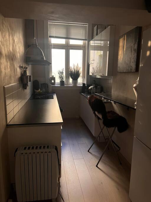 Royal Neighbourhood Elegant Flat In Central Осло Экстерьер фото